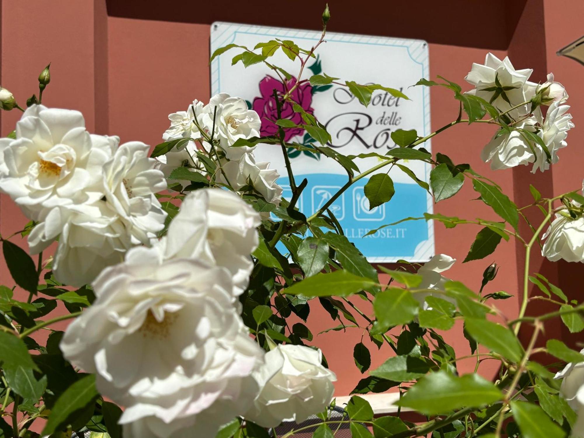 Hotel Delle Rose San Bartolomeo Al Mare Exterior foto